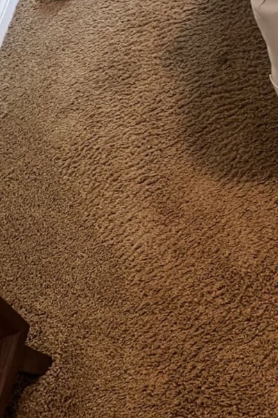 Pristine Carpet & Upholstery Cleaning CARPET CLEANING in wylie